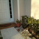 오리둥지 이미지