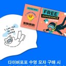 프리다이빙 체험 네이버블로그