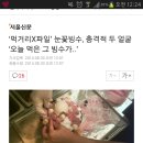 '먹거리X파일' 눈꽃빙수, 충격적 두 얼굴 '오늘 먹은 그 빙수가..' 이미지