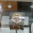 을-030 | [아차산] 아차산역 다쿠아즈 맛집 은지세, 마감히어로로 득템한 후기