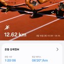 [2025. 3. 18. 화. 눈,해.]-[유산소-12.62km, 적산-205.62km, 3~9, 06:30~18:33] 이미지