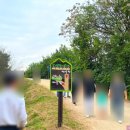 만송부분정비 | 안동 하회마을 개미취 꽃밭 현황,가는길,주차,입장료,안내도 등