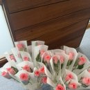 올바른 움직임 연구소 이미지