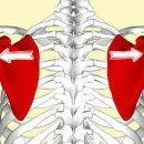 프레임짐 이미지
