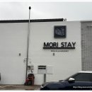 모리스테이 이미지