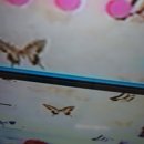 긴자료코동
