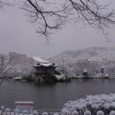 두류공원 이미지