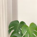 오롯이요가