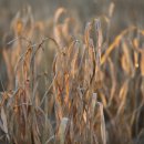 겨울에 만난 책 친구 이미지