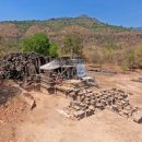 고대1113 이미지