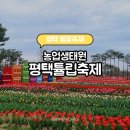 (주)오성투어 | 평택 농업생태원 튤립축제 아이랑 가볼만한곳