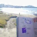 저지리태양광발전소 이미지