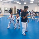 한국체대화랑태권도 네이버블로그