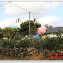 신흥1리 사무소 이미지