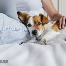 365 마음동물병원 이미지