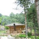 잣나무골 이미지