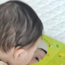 북마마을 | 핀덴베베 전집 후기 핫딜 가격(할인 꿀팁) 영아다중, 베베랑마마랑 비교