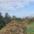 서천 남산성 이미지