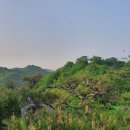 2021-주165 이미지