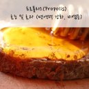 프로폴리스(Propolis) 효능 - 면역력 강화, 비염등 영양제 추천