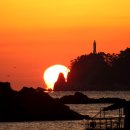 일출상사 이미지