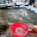 출출포차 | 삼성동중식포차에서 가족들과 푸짐하게 먹은 후기