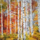 자작나무 이미지