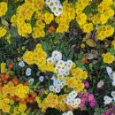 <형태의 속삭임> 이미지