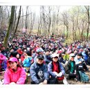 산속에아침 이미지
