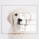 365동판교동물병원 이미지