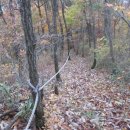 일봉목장 이미지