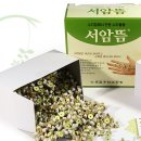 수지침&쑥뜸 이미지