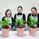 지친 일상, 꽃과 식물이 함께하는 힐링의 시간 네이버블로그