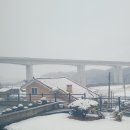 더하얀세상 이미지