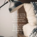 양양 솔바람스테이 이미지