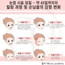 더예쁜눈썹