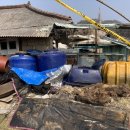 사체농장 이미지