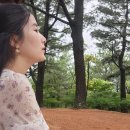 귤림하우스 | 제주도 5일차_36,300원 지출내역, 한라 수목원, 제주동문시장 우도땅콩 산적 꼬지 떡볶이[제주도 300만...