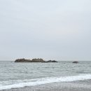 장항리 노루목교 아래 간이화장실 | 경주 문무대왕릉 해변 주차장과 피데기 오징어