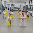 행복한부부태권도장 이미지
