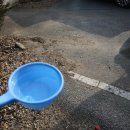 수락약수터 이미지