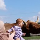 보들농장 이미지