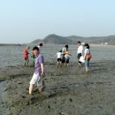 OK김밥나라 이미지