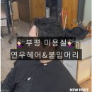 부평미용실 연우헤어 해원쌤 컷트 다운펌 후기, 예랑이 머리 정리 솔직후기