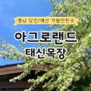 당진 승마장 | 목장 농촌테마파크 방문 후기🐄 [태신목장🏕️ / 우유농가🥛] 당진 아이와 가볼만한 곳 / 당진 데이트 할만한 곳