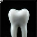 의정부성모치과의원 이미지