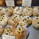 미쁜제과 제주 대정읍 숨은 한옥 카페 '<b>미쁜</b><b>제과</b>', 넓은 정원의 힐링 베이커리 추천!!