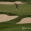 Green Colo 이미지