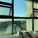 부디제주(스테이) 이미지