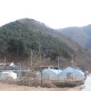 평창강로 이미지